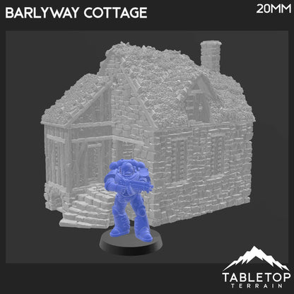 Barlyway Cottage - Country & King - Fantasy Historical Building