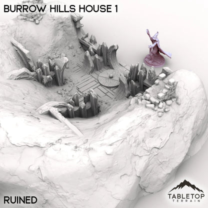 Burrow Hills House 1