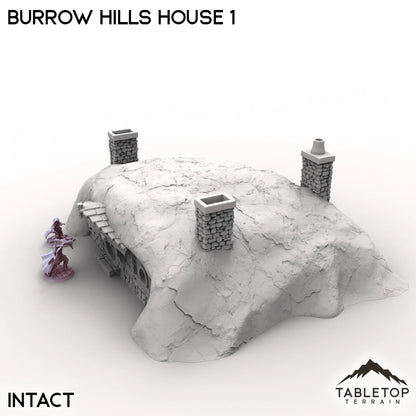 Burrow Hills House 1