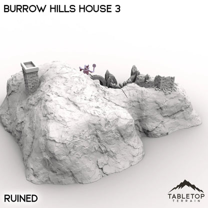 Burrow Hills House 3