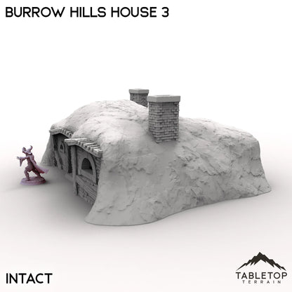 Burrow Hills House 3