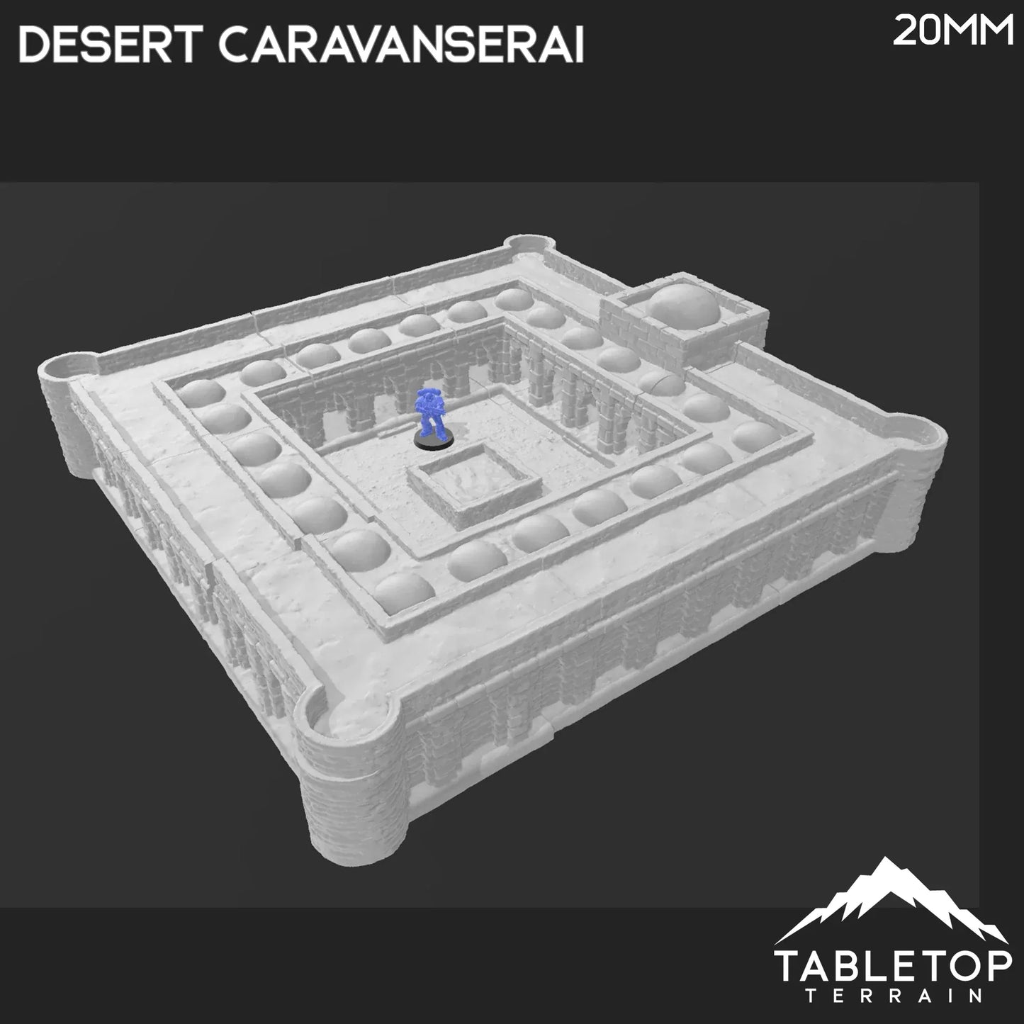 Desert Caravanserai