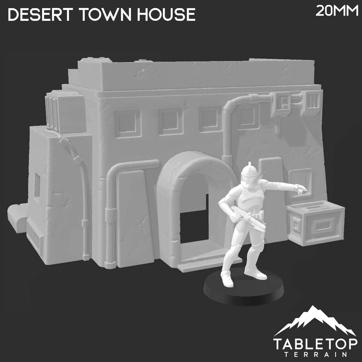 Desert Town House