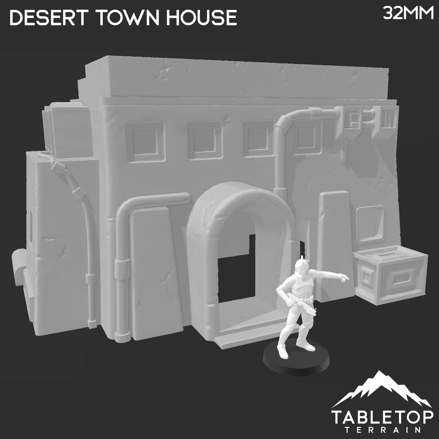 Desert Town House