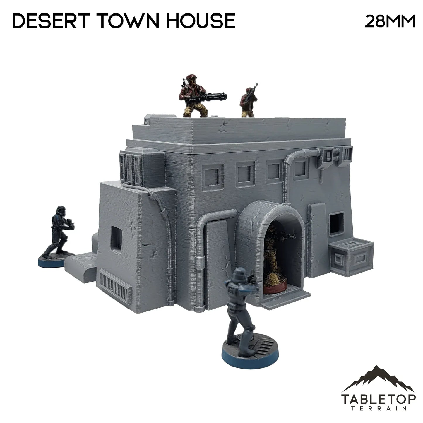 Desert Town House