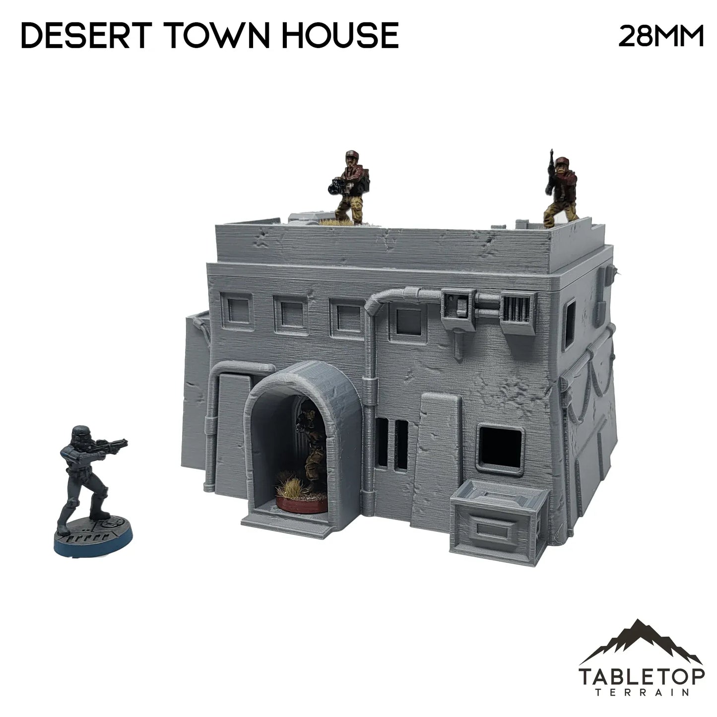 Desert Town House