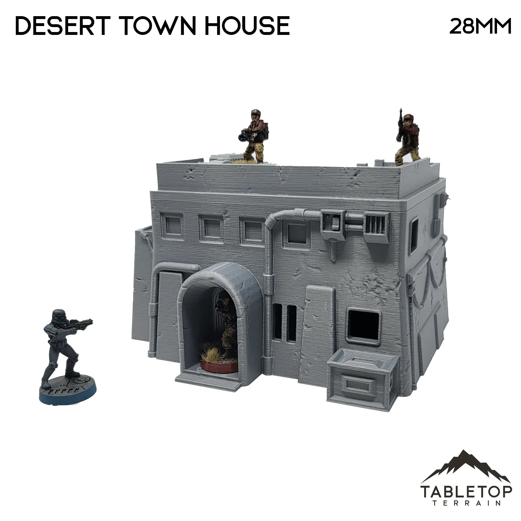 Desert Town House