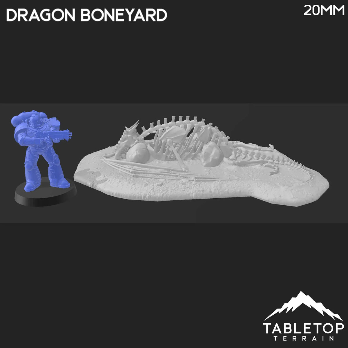 Dragon Boneyard