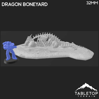 Dragon Boneyard