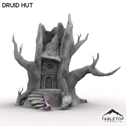 Druid Hut