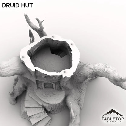 Druid Hut