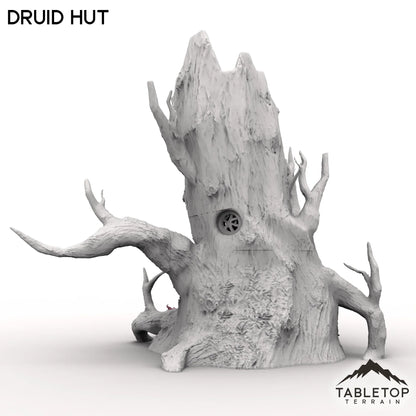 Druid Hut