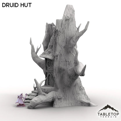 Druid Hut