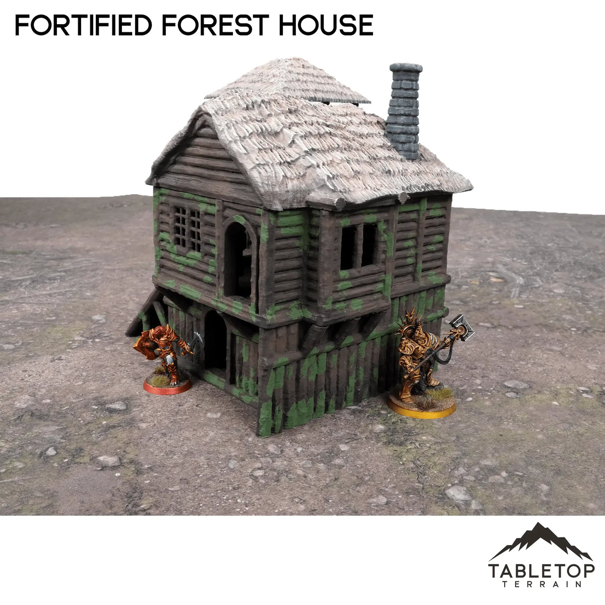 Fortified Forest House