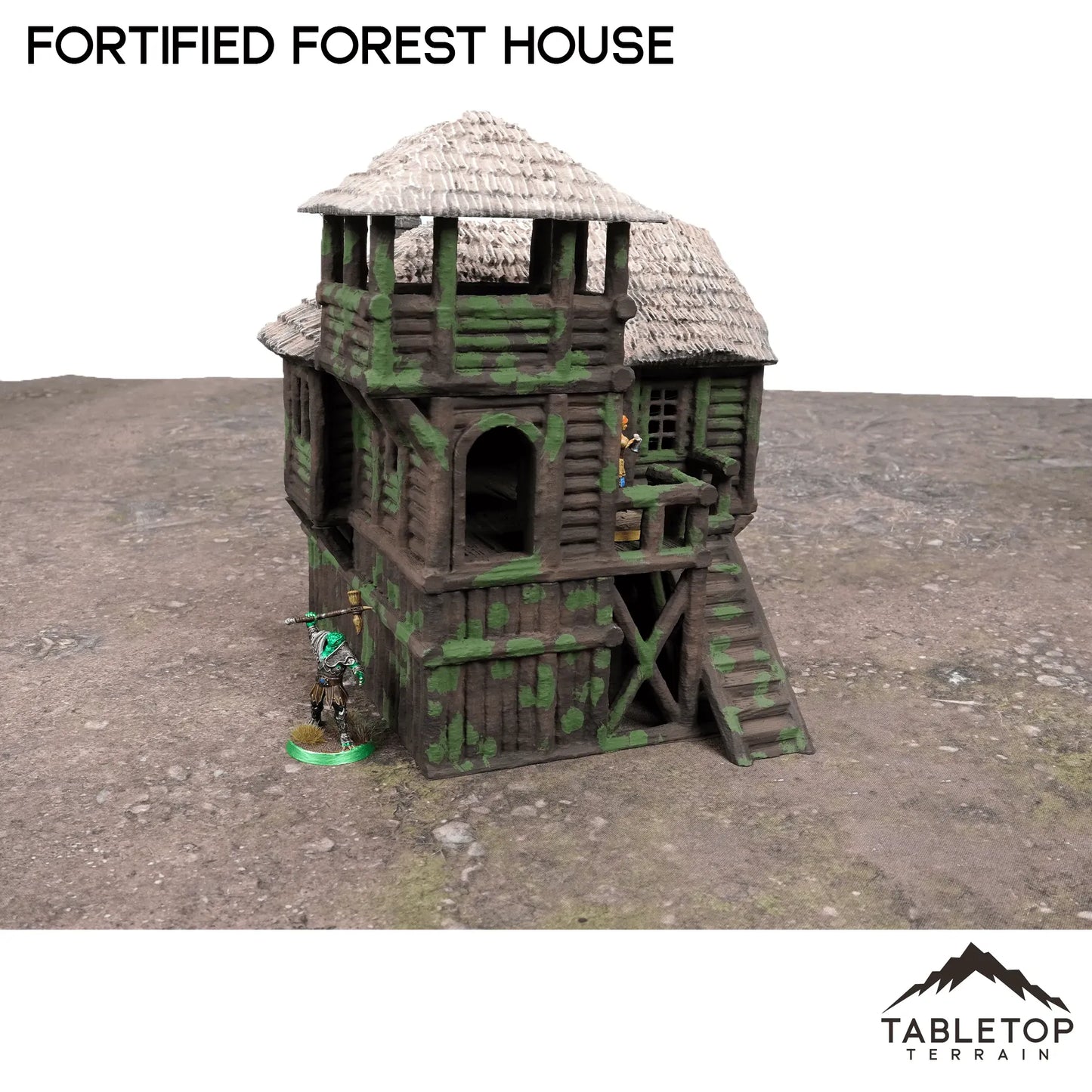 Fortified Forest House