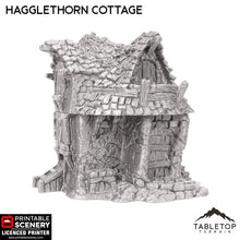 Hagglethorn Cottage - Hagglethorn Hollow - Fantasy Building