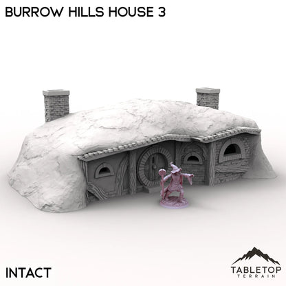 Burrow Hills House 3