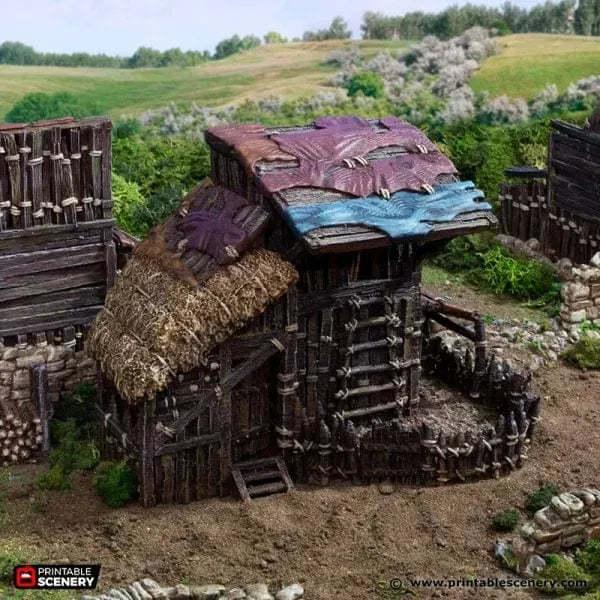 Large Shanty - Country & King - Fantasy Historical Building