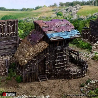 Large Shanty - Country & King - Fantasy Historical Building