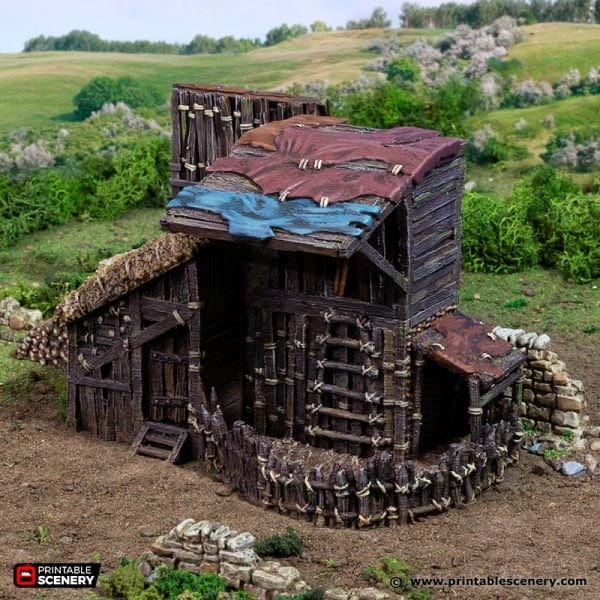 Large Shanty - Country & King - Fantasy Historical Building