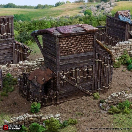 Large Shanty - Country & King - Fantasy Historical Building