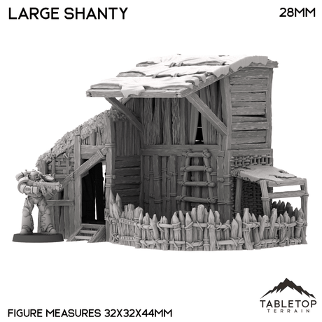 Large Shanty - Country & King - Fantasy Historical Building