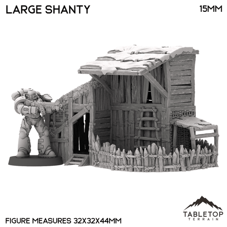 Large Shanty - Country & King - Fantasy Historical Building