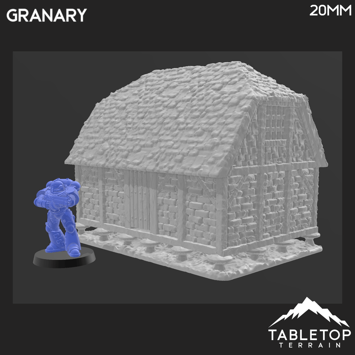 Medieval Granary