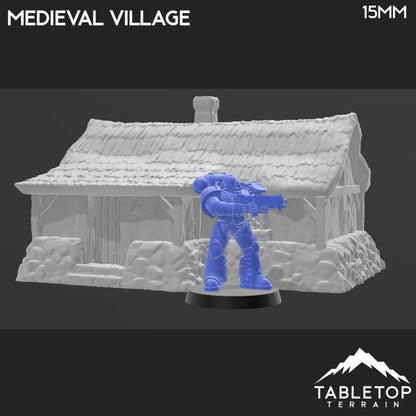 Medieval Village