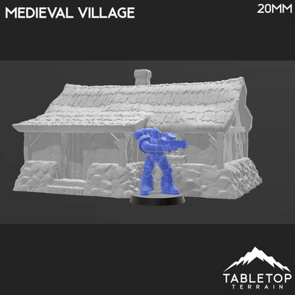 Medieval Village