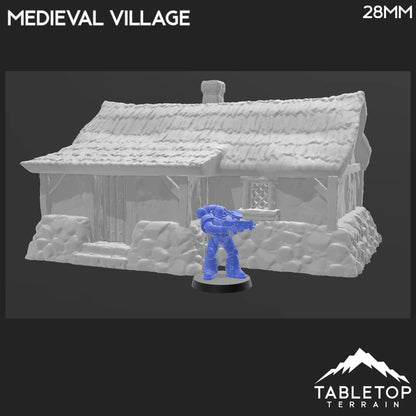 Medieval Village