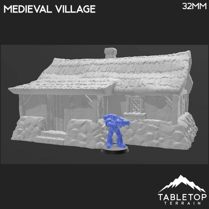 Medieval Village