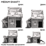 Medium Shanty - Country & King - Fantasy Historical Building
