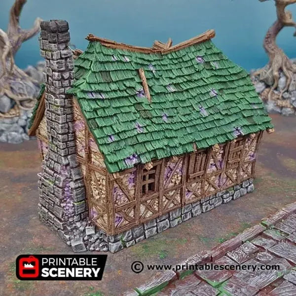 Mimic House - Fantasy Building