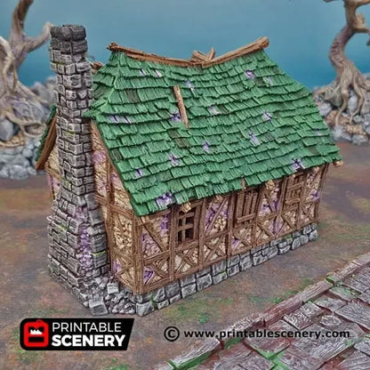 Mimic House - Fantasy Building