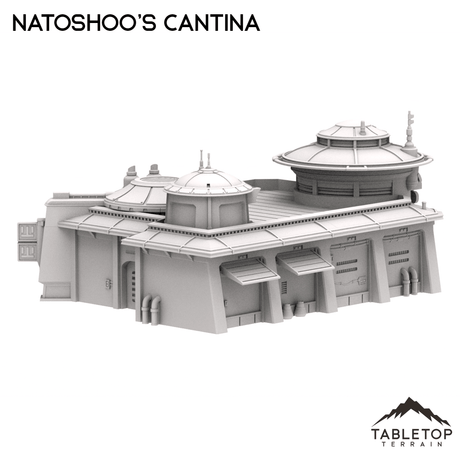 Natoshoo's Cantina