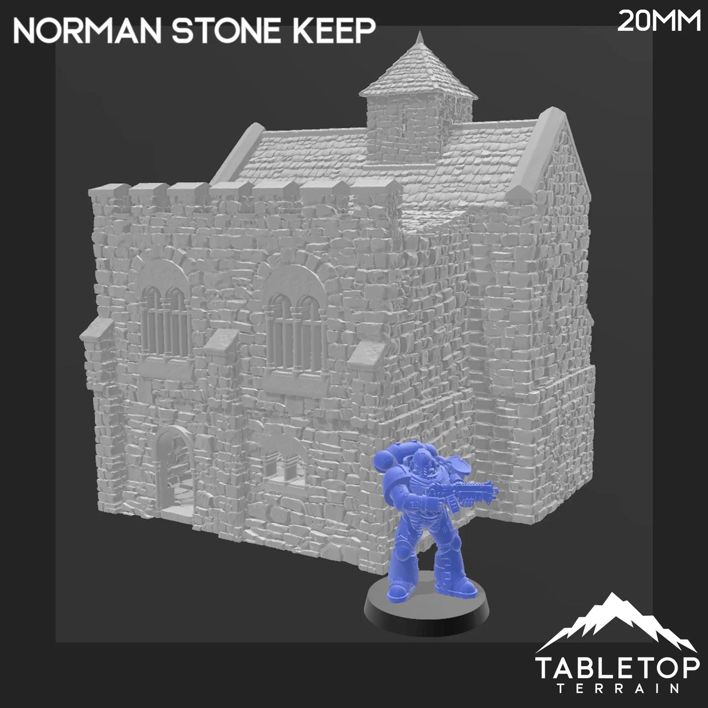 Norman Stone Keep - Country & King - Fantasy Historical Building
