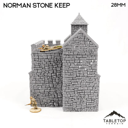 Norman Stone Keep - Country & King - Fantasy Historical Building