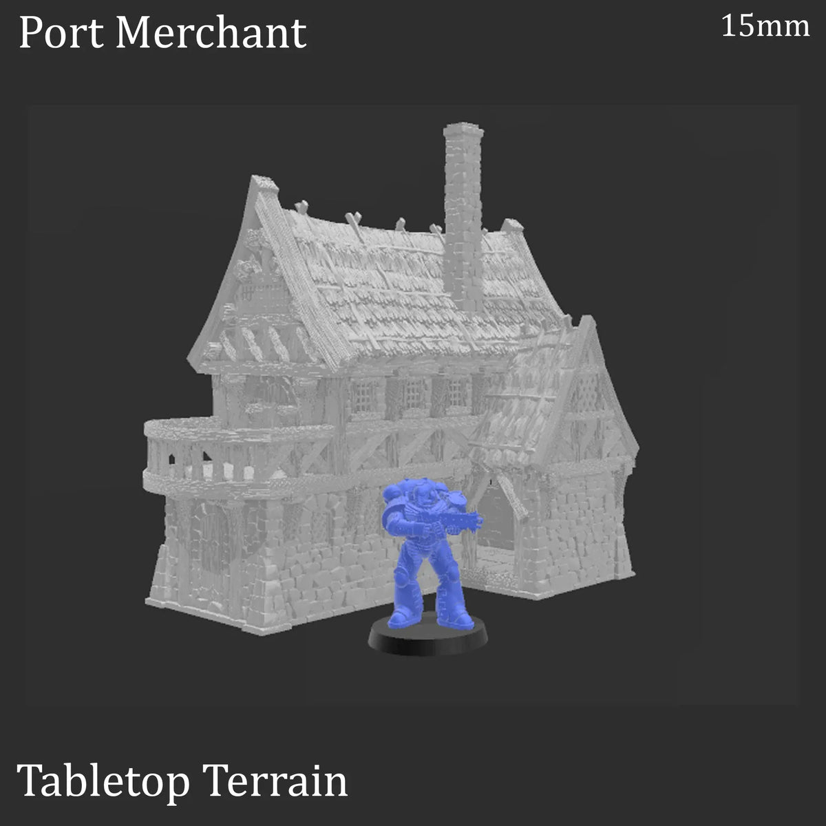Port Merchant - Fantasy Building