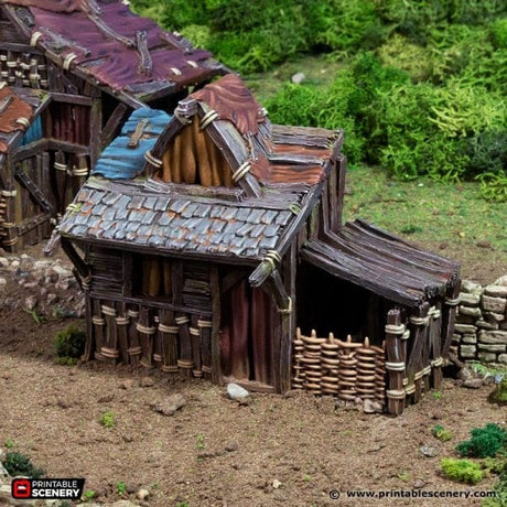 Small Shanty - Country & King - Fantasy Historical Building