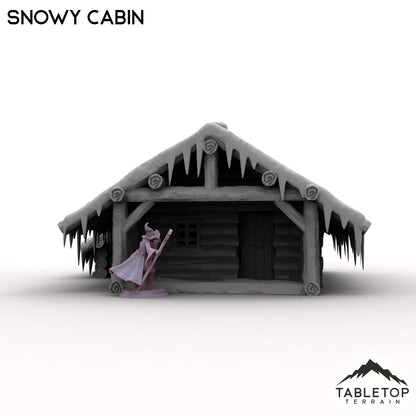 Snowy Cabin