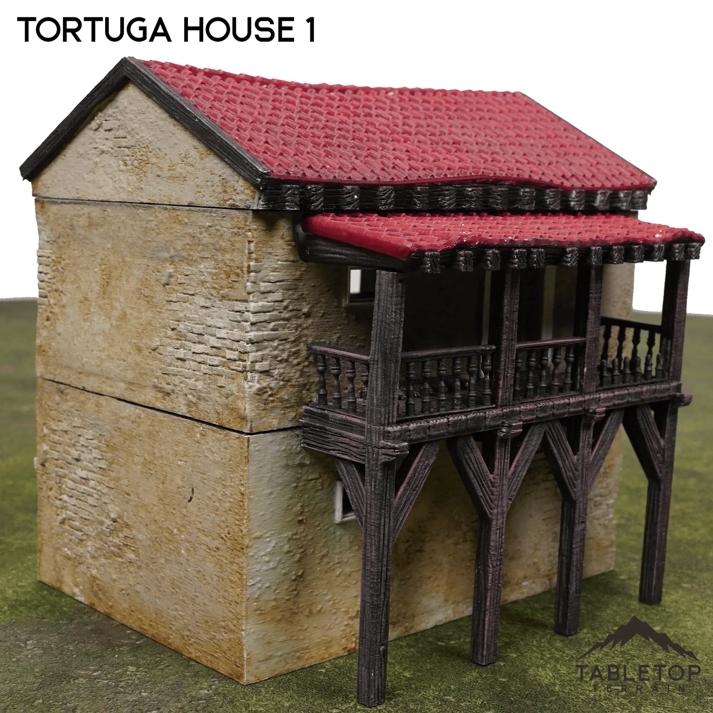 Tortuga House 1