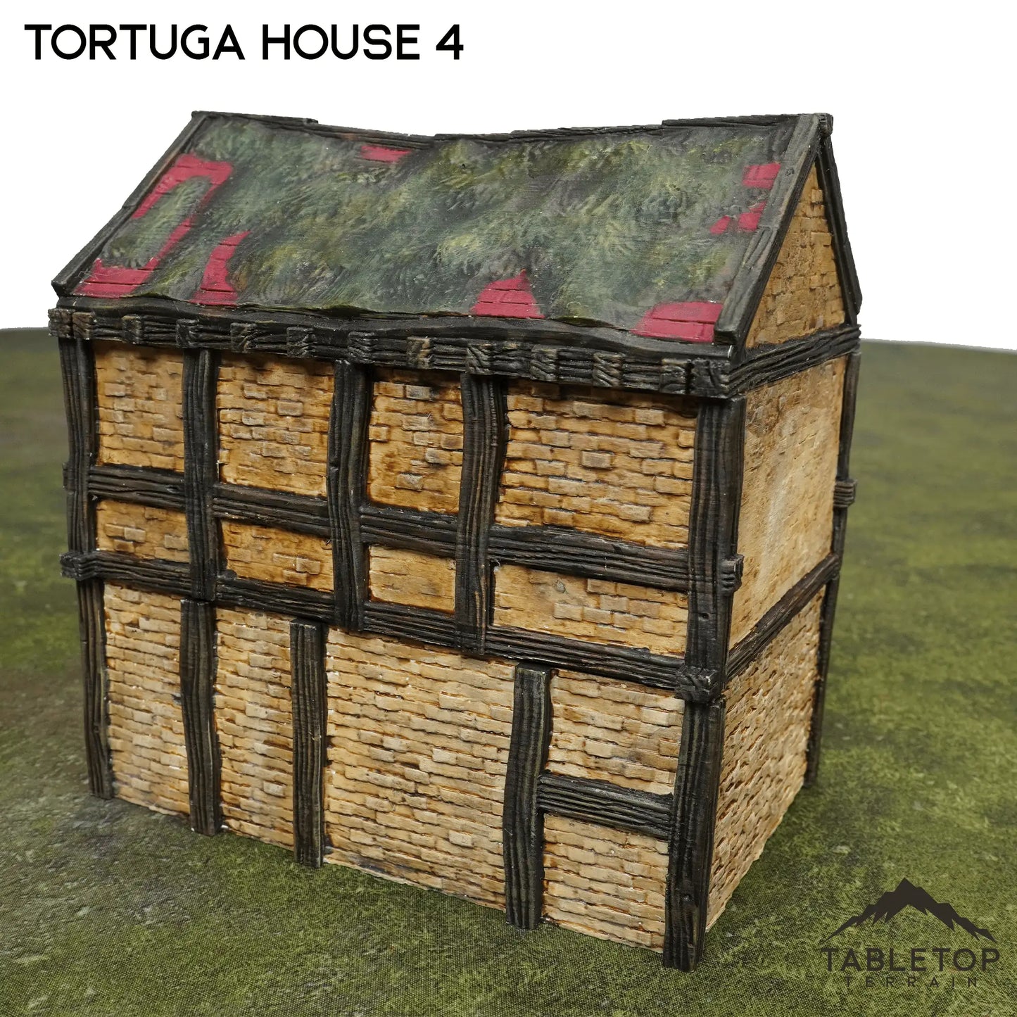 Tortuga House 4