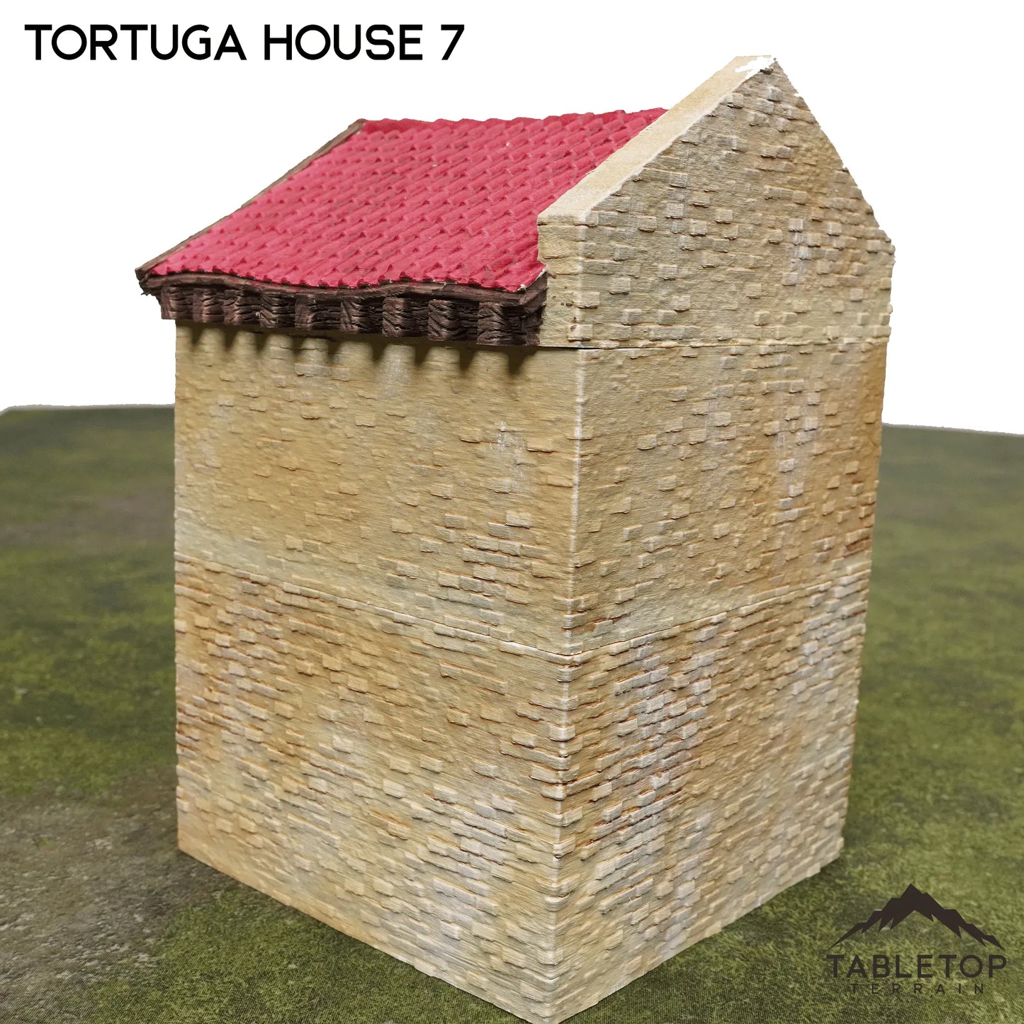 Tortuga House 7