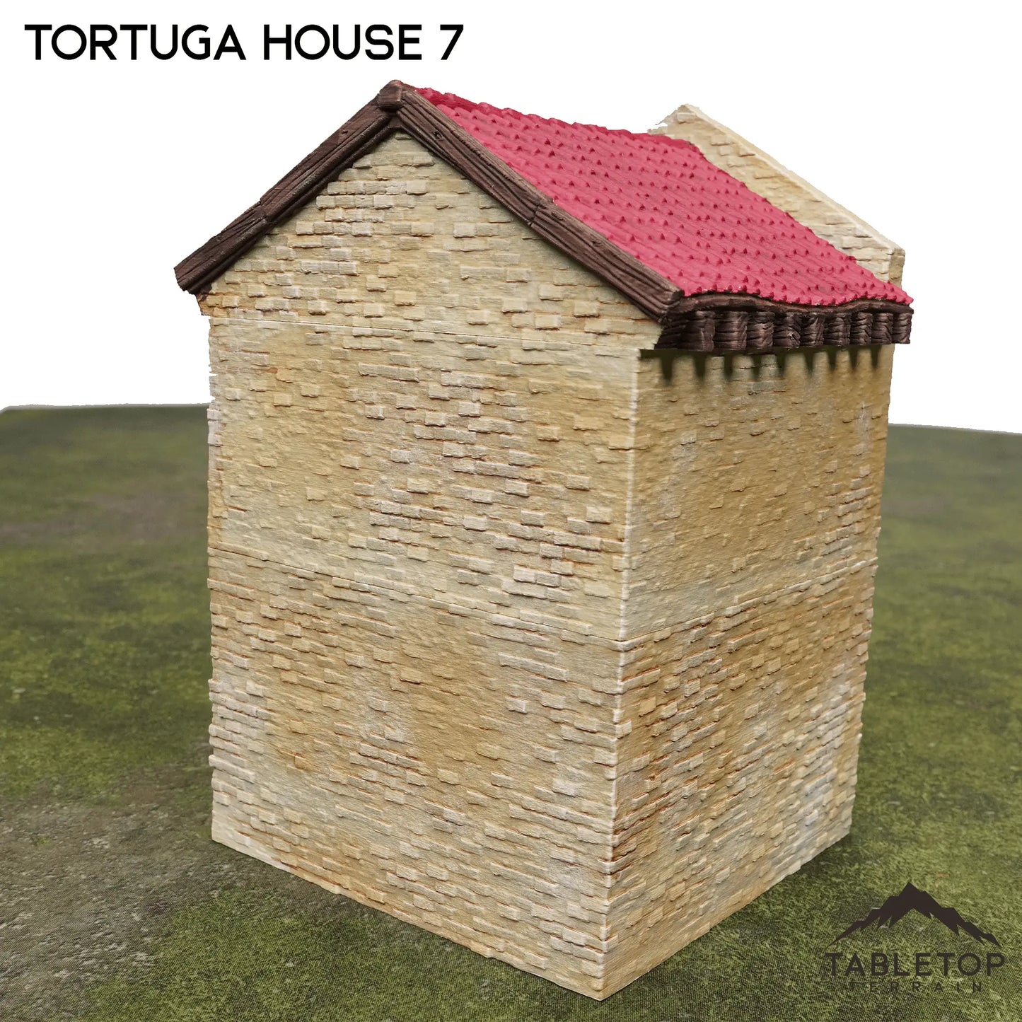 Tortuga House 7