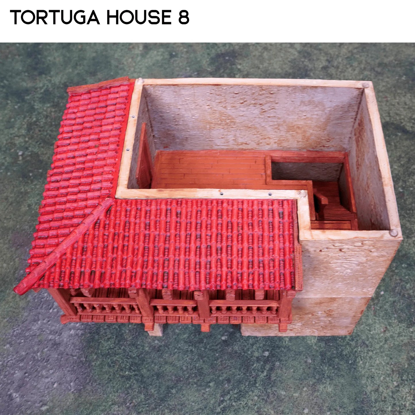 Tortuga House 8