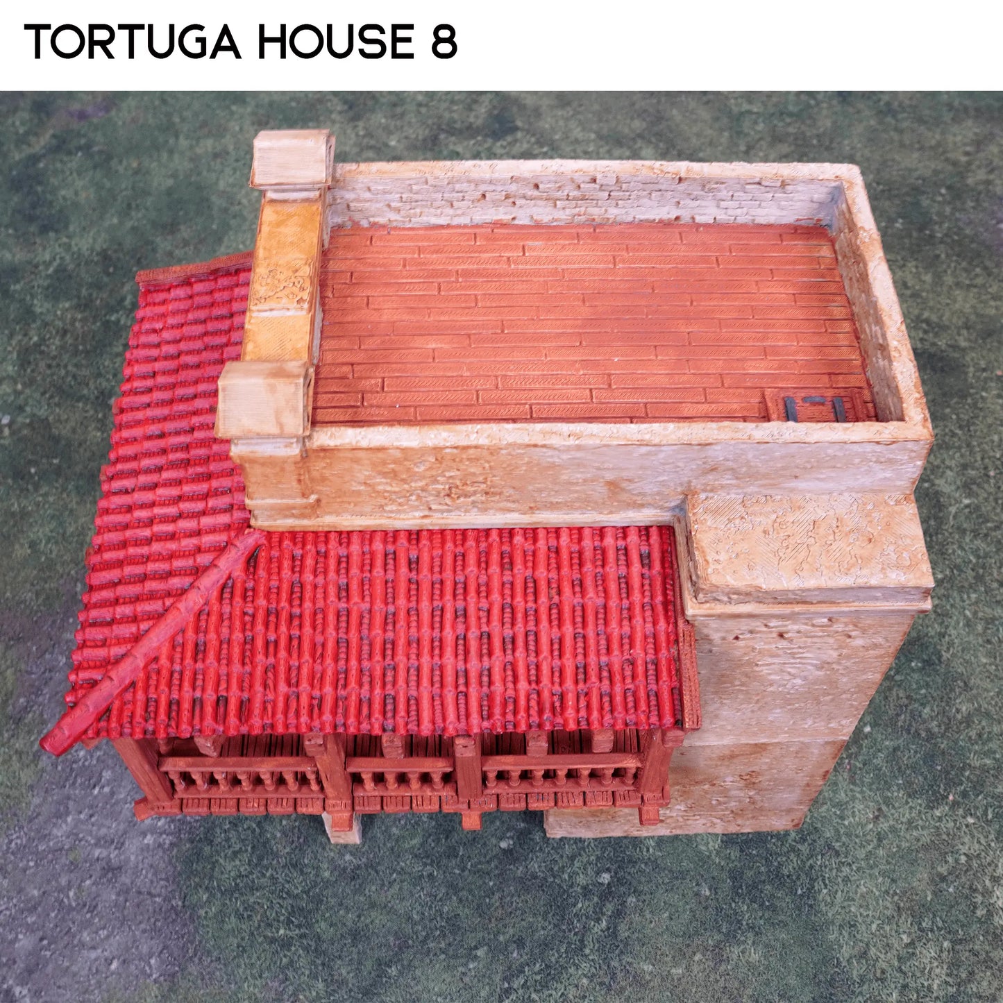 Tortuga House 8