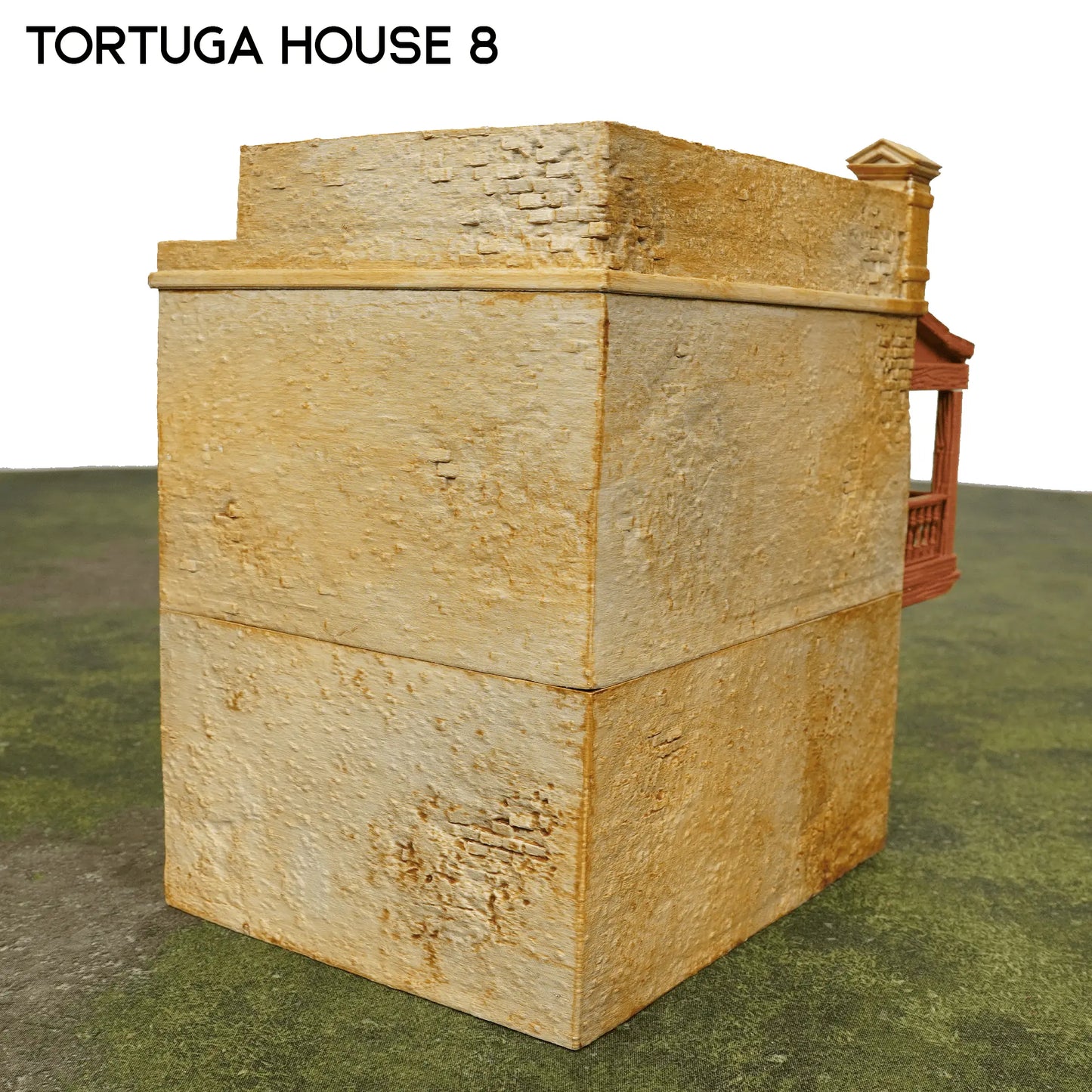 Tortuga House 8