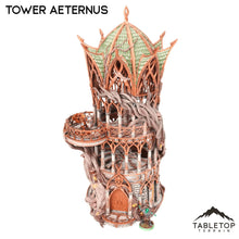Tower Aeternus - Elven Building