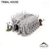 Tribal House - Tribal Terrain